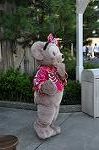 Dcim9457/DSC_0913