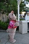 Dcim9457/DSC_0914