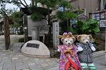 Dcim9467/DSC_2281