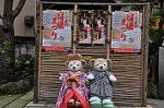 Dcim9467/DSC_2290