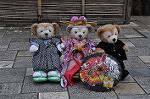 Dcim9467/DSC_2292