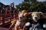 Dcim9482/DSC_4533