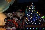 Dcim9496/DSC_6662