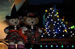 Dcim9496/DSC_6666