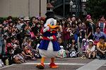 Dcim9499/DSC_6784