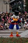 Dcim9499/DSC_6785
