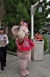 Dcim9499/DSC_6848