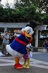 Dcim9501/DSC_7026