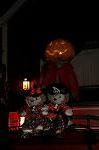 Dcim9526/DSC_0457