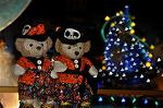 Dcim9527/DSC_0574