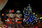 Dcim9527/DSC_0620