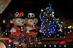 Dcim9527/DSC_0622