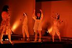 Dcim9537/DSC_1307