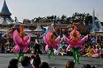 Dcim9560/DSC_4472