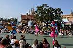 Dcim9561/DSC_4572