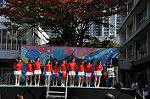 Dcim9575/DSC_6432