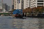 Dcim9576/DSC_6528