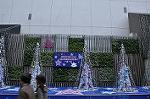 Dcim9579/DSC_7019