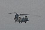 Dcim9581/DSC_7236