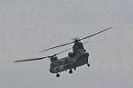 Dcim9581/DSC_7245