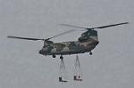 Dcim9581/DSC_7288