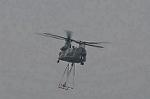 Dcim9581/DSC_7290