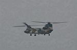 Dcim9581/DSC_7303