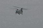 Dcim9581/DSC_7305