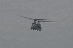 Dcim9581/DSC_7307
