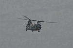 Dcim9581/DSC_7308