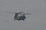 Dcim9581/DSC_7309