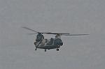 Dcim9581/DSC_7310