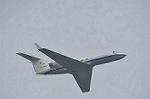Dcim9581/DSC_7341