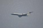 Dcim9581/DSC_7351
