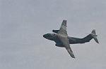 Dcim9582/DSC_7385