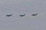 Dcim9582/DSC_7411
