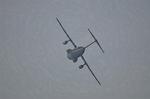 Dcim9582/DSC_7440