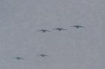 Dcim9583/DSC_7574