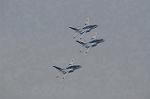 Dcim9583/DSC_7637