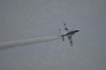 Dcim9584/DSC_7736