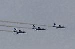 Dcim9584/DSC_7741