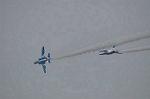 Dcim9584/DSC_7782