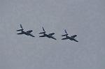 Dcim9584/DSC_7784