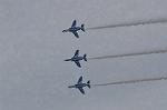 Dcim9584/DSC_7814