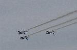 Dcim9584/DSC_7842