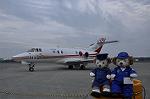 Dcim9585/DSC_8037