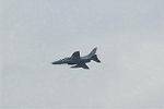 Dcim9586/DSC_8981