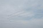 Dcim9587/DSC_9253
