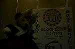 Dcim9588/DSC_8074