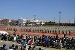 Dcim9590/DSC_8405